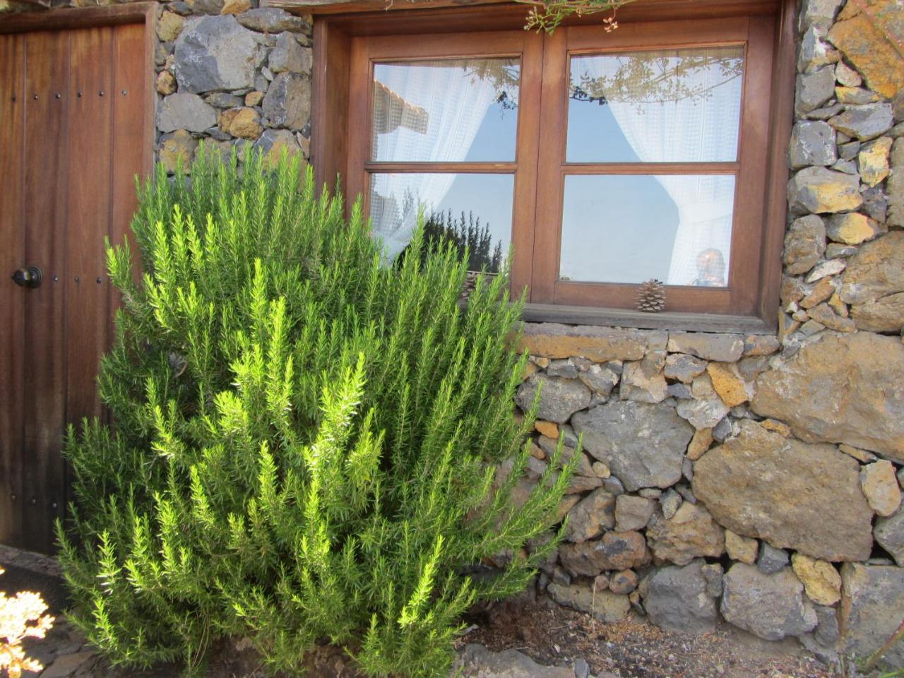 Casa Rural La Jarita El Pinar  Ngoại thất bức ảnh