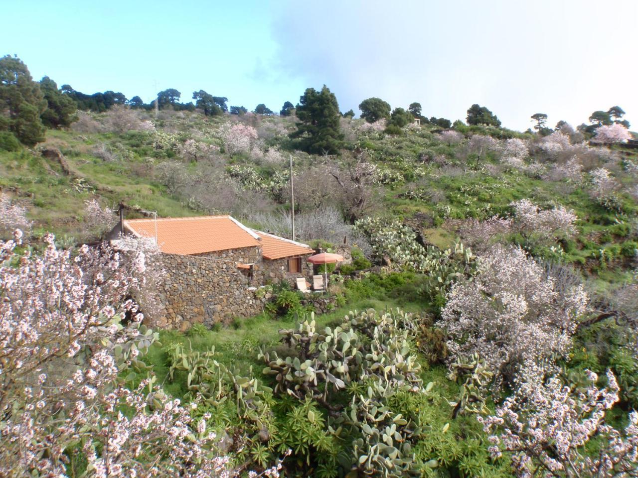 Casa Rural La Jarita El Pinar  Ngoại thất bức ảnh
